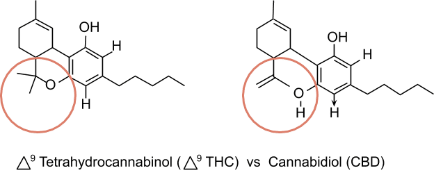 Difference Between CBD and THC