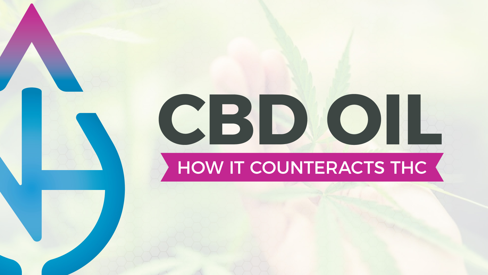 Does CBD Counteract THC