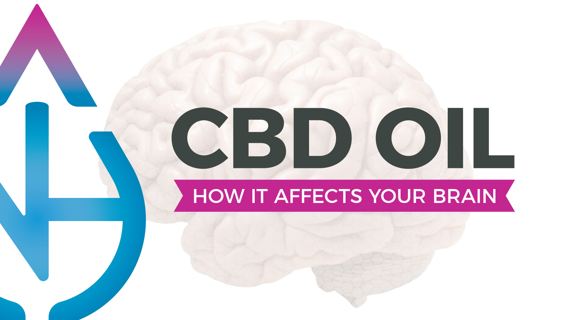 How CBD Oil Affects the Brain