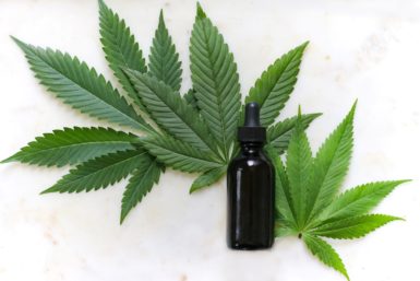 cbd tincture with cbd hemp leaf