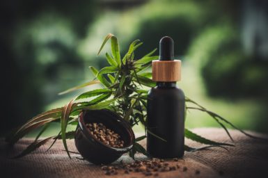 cbd tincture with cbd hemp seeds and cbd hemp plant